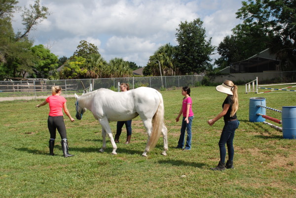 Crossroads Corral - Group Excercise