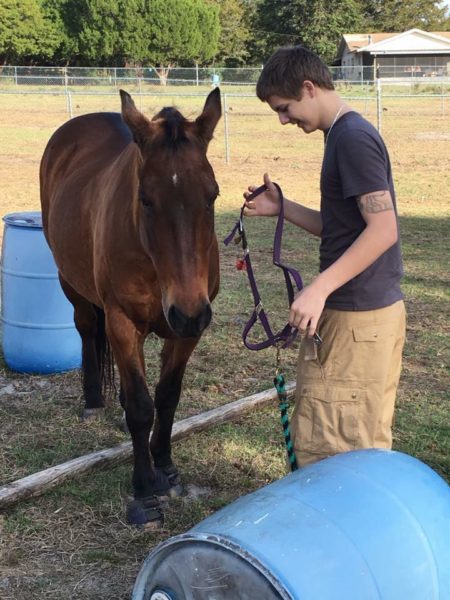 noah and toby